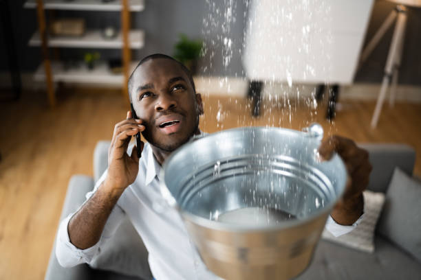 Best Ceiling water damage repair  in Vicksburg, MI