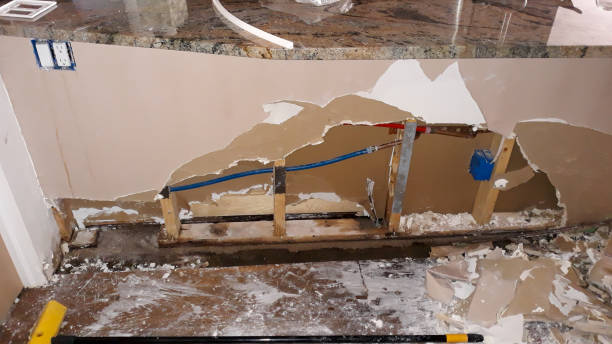 Best Basement water damage restoration  in Vicksburg, MI