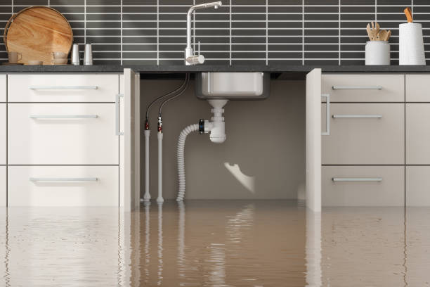 Best Fire Damage Restoration  in Vicksburg, MI